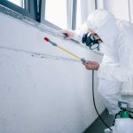 Copropriété : Pourquoi un contrat anti-nuisibles est indispensable à la gestion du syndic