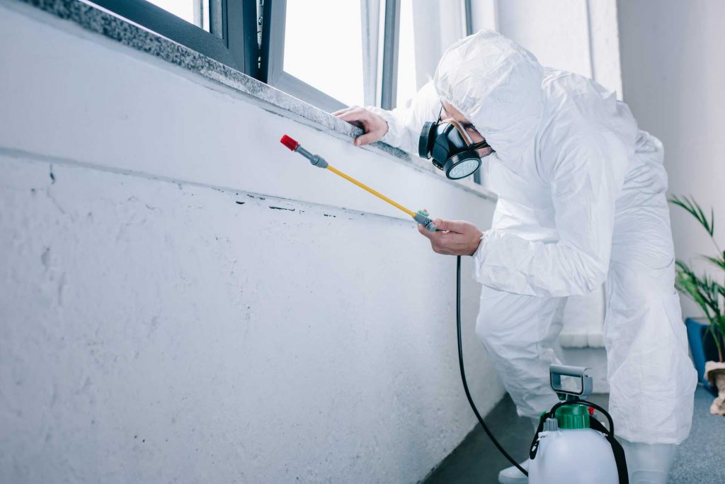 Copropriété : Pourquoi un contrat anti-nuisibles est indispensable à la gestion du syndic